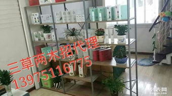 三草兩木產品口碑與代理模式解析 票務代理需謹慎